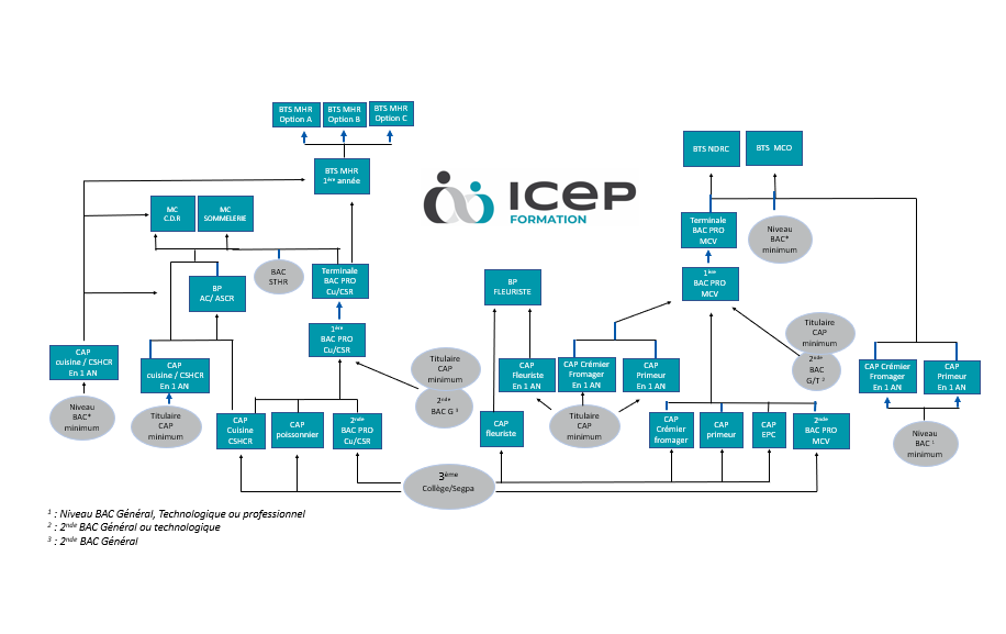Logigramme ICEP Formation
